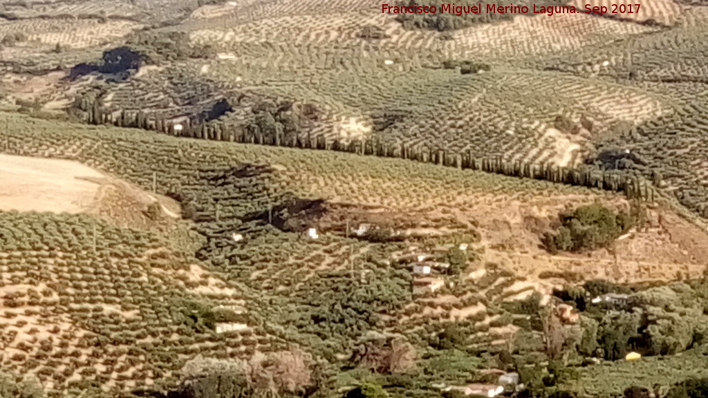 Casera de los Naranjos - Casera de los Naranjos. Camino de cipreses desde el Banco de Ricardo