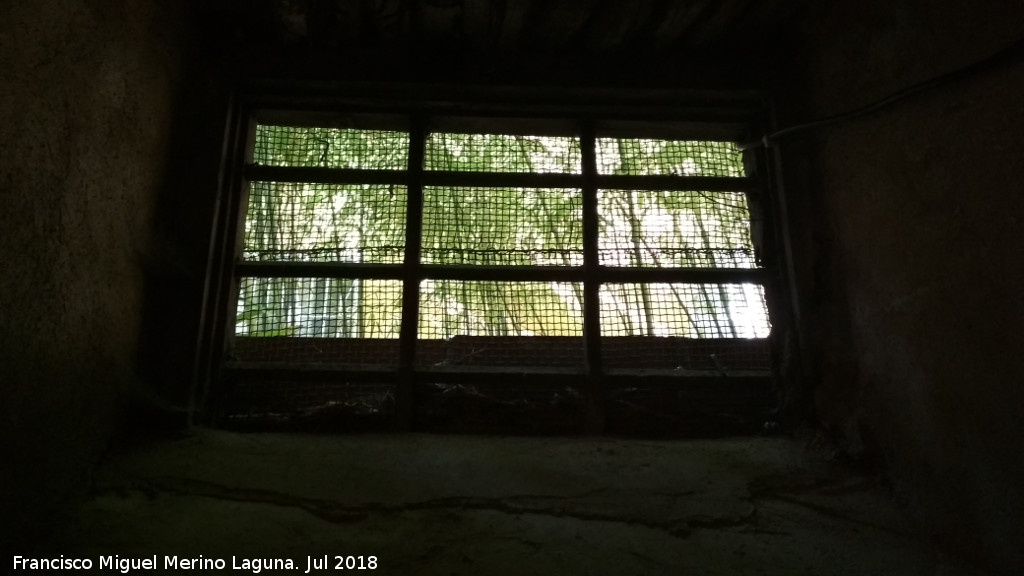 Palacio de los Cobaleda Nicuesa - Palacio de los Cobaleda Nicuesa. Ventana del stano