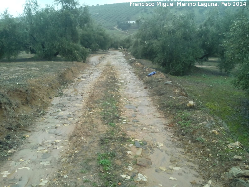 Calzada de la Sierra - Calzada de la Sierra. Empedrado