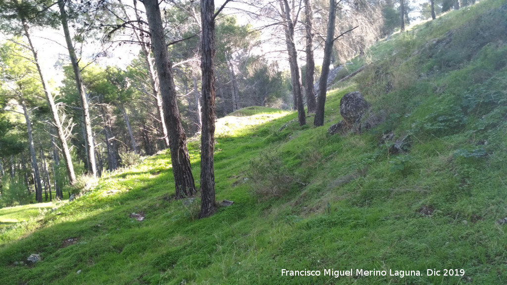 Parque Periurbano de Santa Catalina, Neveral, Imora - Parque Periurbano de Santa Catalina, Neveral, Imora. Ladera norte del Cerro de Santa Catalina