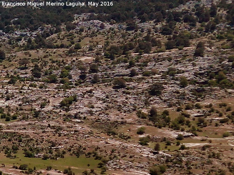 Karst de Pinar Negro - Karst de Pinar Negro. 