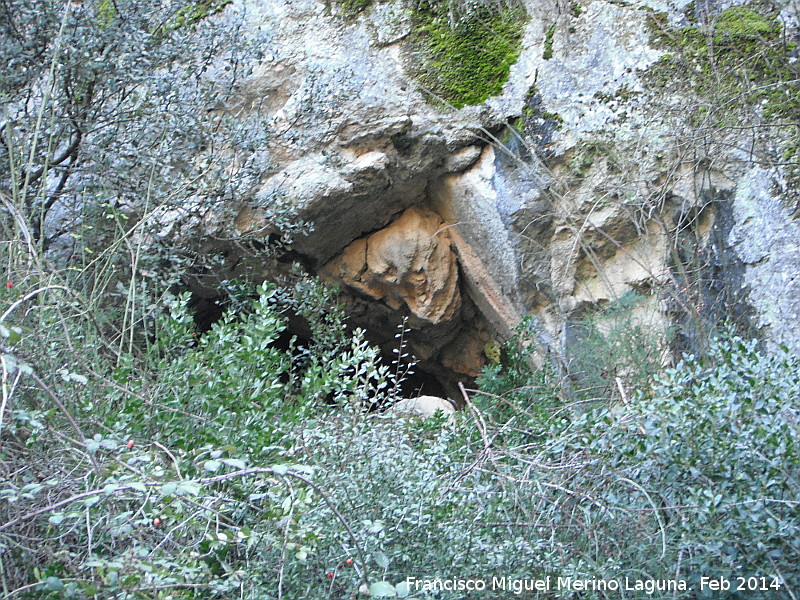 Cueva del Arroyo de la Cueva - Cueva del Arroyo de la Cueva. 