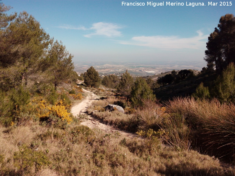 Fuente de la Rana - Fuente de la Rana. Paraje