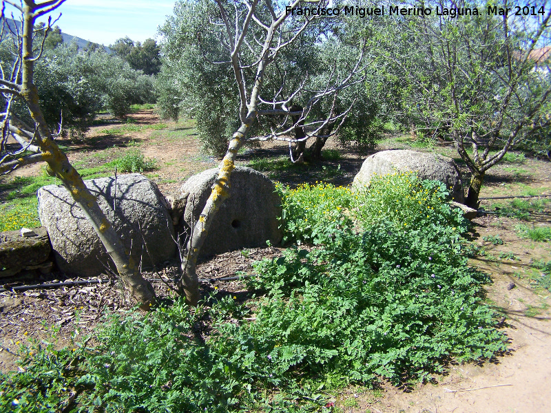 Cortijada Salido Alto - Cortijada Salido Alto. Piedras del antiguo molino