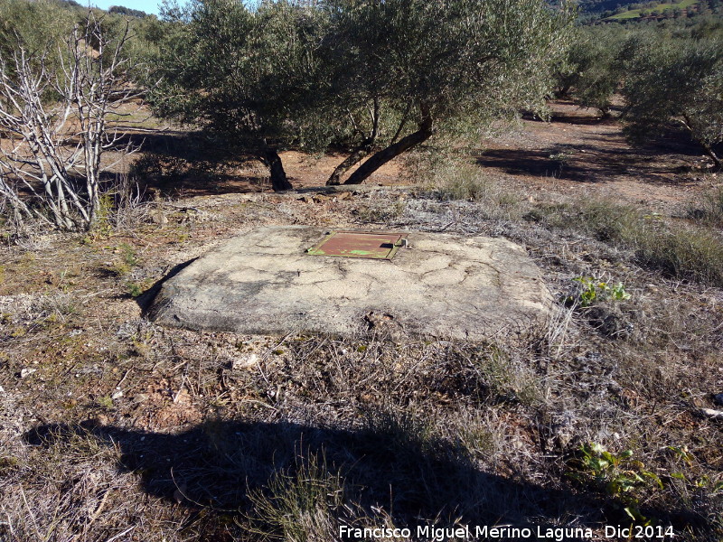 Noria del Cortijete - Noria del Cortijete. Noria cegada