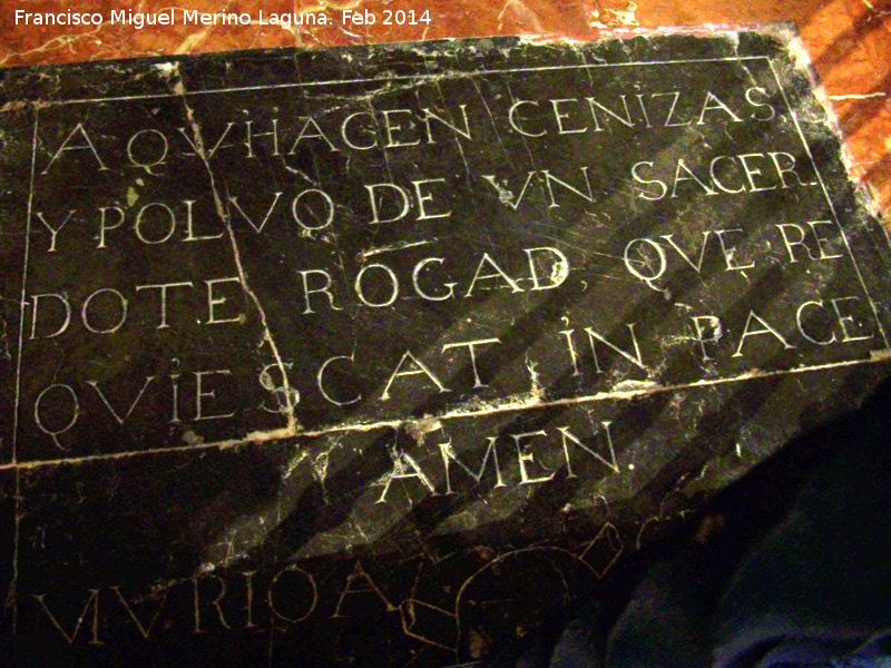 Colegiata de Santa Mara de los Reales Alczares. Interior - Colegiata de Santa Mara de los Reales Alczares. Interior. Tumba