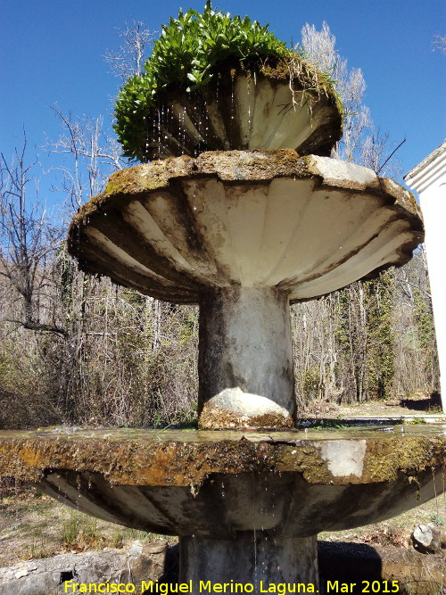 Fuente de las Ranas - Fuente de las Ranas. 