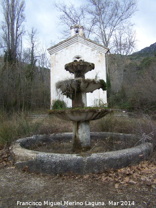 Fuente de las Ranas - Fuente de las Ranas. 