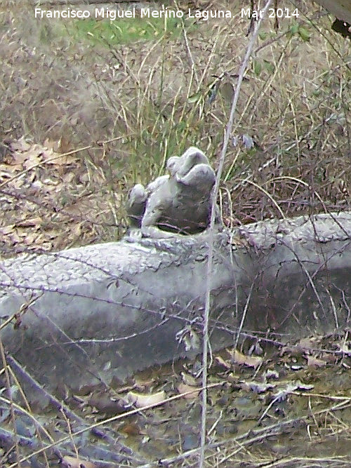 Fuente de las Ranas - Fuente de las Ranas. Rana