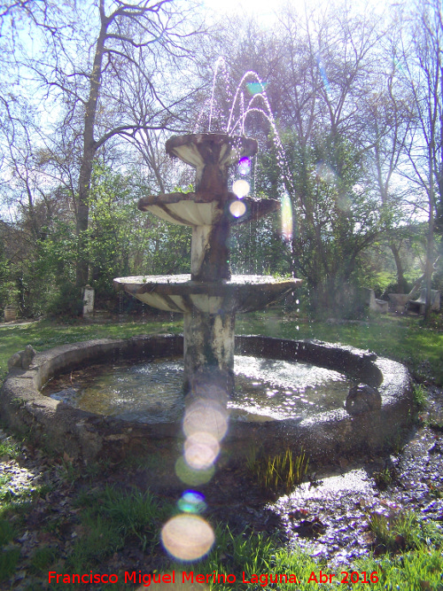 Fuente de las Ranas - Fuente de las Ranas. 