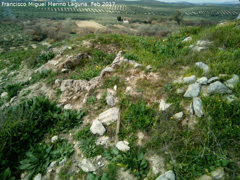 Necrpolis de las Torrecillas - Necrpolis de las Torrecillas. 