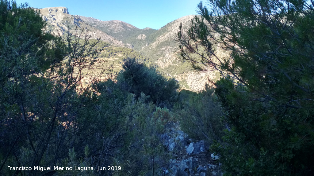 Sierra de Jan - Sierra de Jan. Vistas desde El Cuchillejo