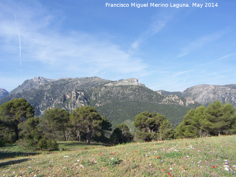 Sierra de Jan - Sierra de Jan. Desde el Puerto de los Madroales