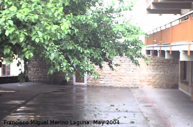 Fuente Cauelo de Jess - Fuente Cauelo de Jess. Dentro del patio del Colegio Santo Toms se puede acceder a las aguas del antiguo Cauelo de Jess