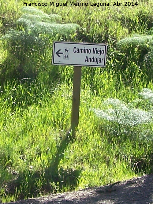 Camino Viejo - Camino Viejo. Cartel