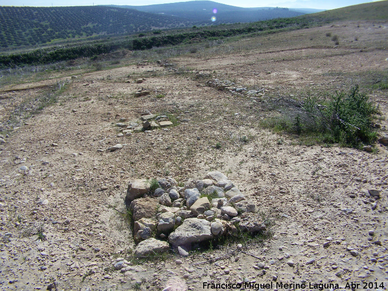 Almazara romana del Cerro de los Vientos - Almazara romana del Cerro de los Vientos. 