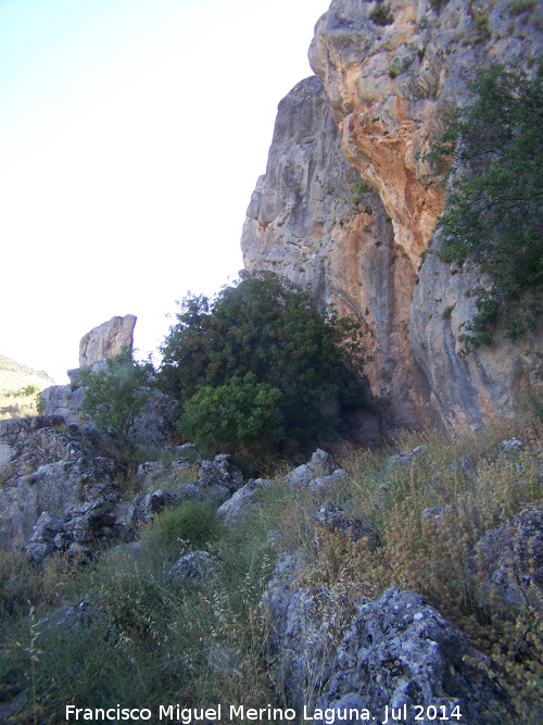 Cerro Frontn - Cerro Frontn. Parte alta