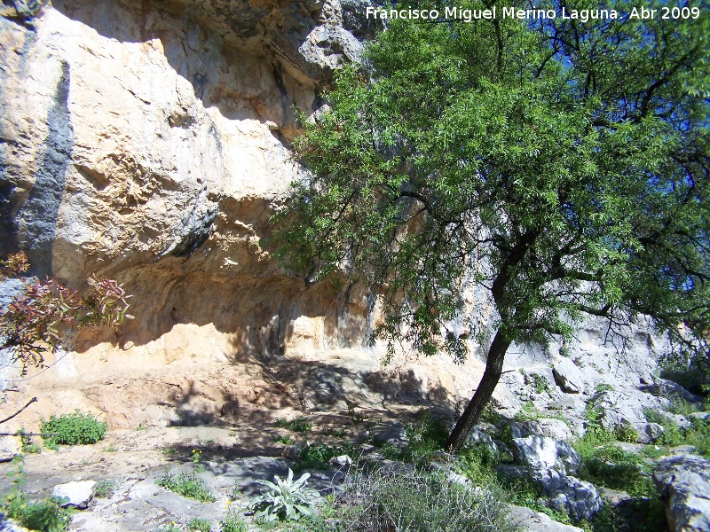 Pinturas rupestres del Abrigo del Almendro - Pinturas rupestres del Abrigo del Almendro. 