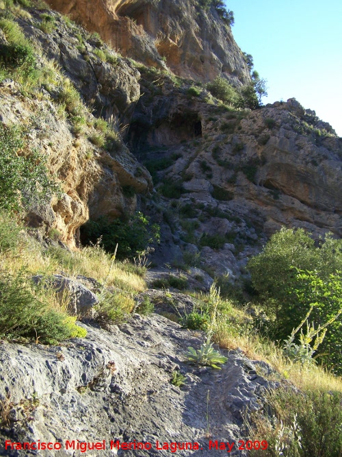 Cueva Escondida de los Caones - Cueva Escondida de los Caones. 