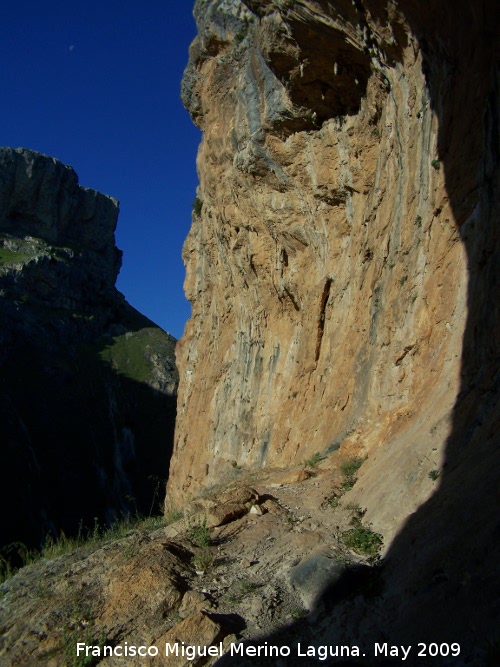 Abrigo de la Base de los Caones - Abrigo de la Base de los Caones. 