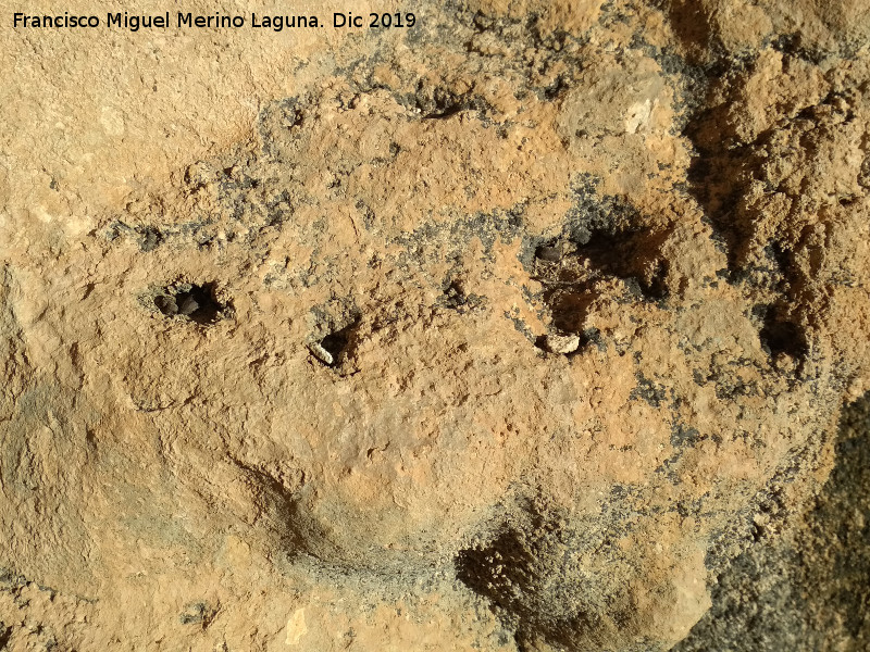 Pinturas rupestres del Abrigo de los Caones IV - Pinturas rupestres del Abrigo de los Caones IV. Cazoletas menores