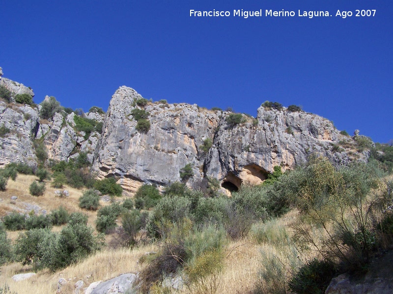 Canjorro - Canjorro. Cueva Sur-Este