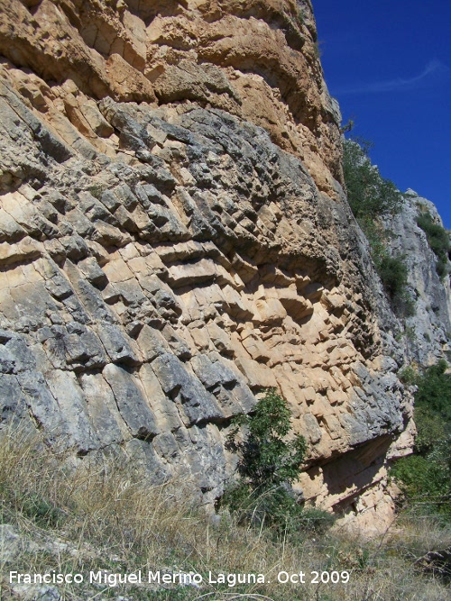 Canjorro - Canjorro. Estratos