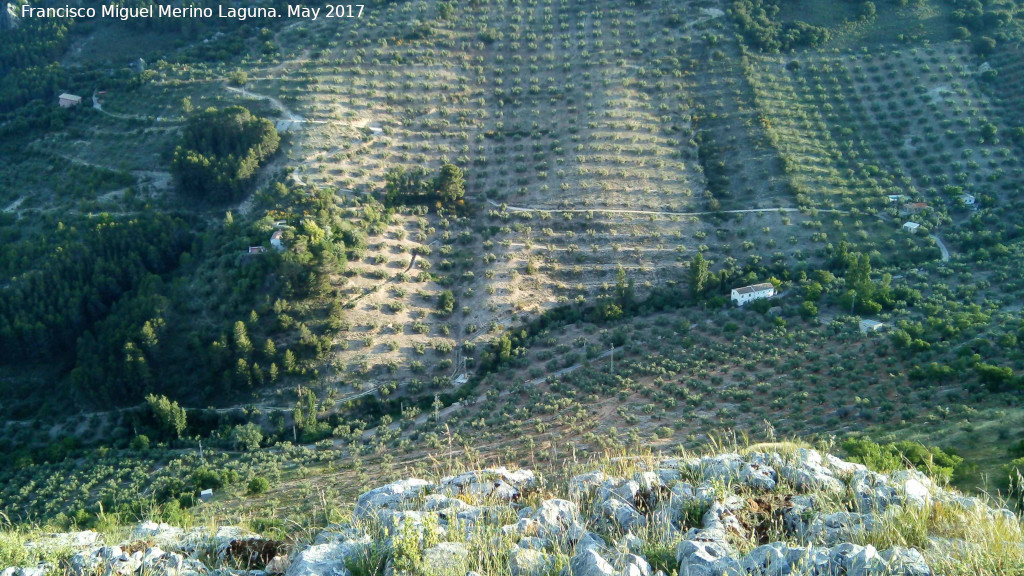 Collado de la Yedra - Collado de la Yedra. Arroyo de Reguchillo