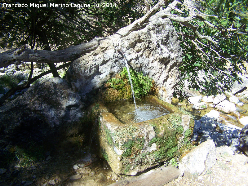 Fuente de la Central - Fuente de la Central. 