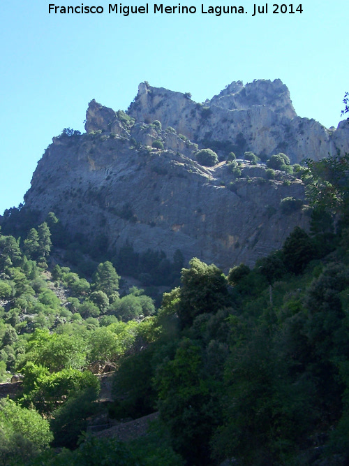 El Castelln de los rganos - El Castelln de los rganos. 