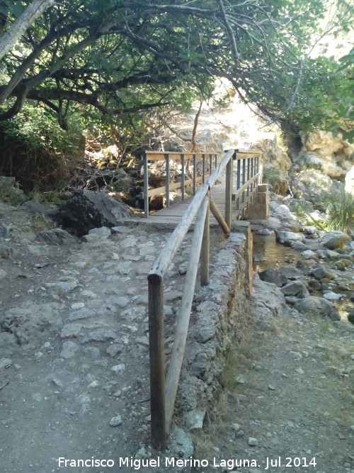 Puente de la Central - Puente de la Central. 