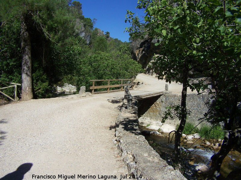 Puente de Madera de la Cerrada del Puente de Piedra - Puente de Madera de la Cerrada del Puente de Piedra. 