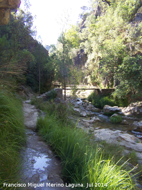 Puente III de la Cerrada de Elas - Puente III de la Cerrada de Elas. 