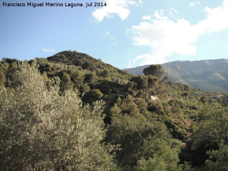 Cortijo de Reguchillo - Cortijo de Reguchillo. 