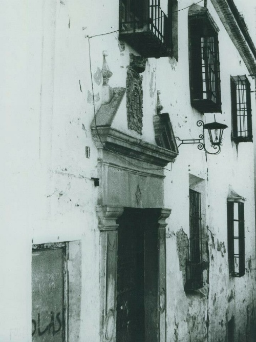 Palacio Torres de Navarra - Palacio Torres de Navarra. Foto antigua