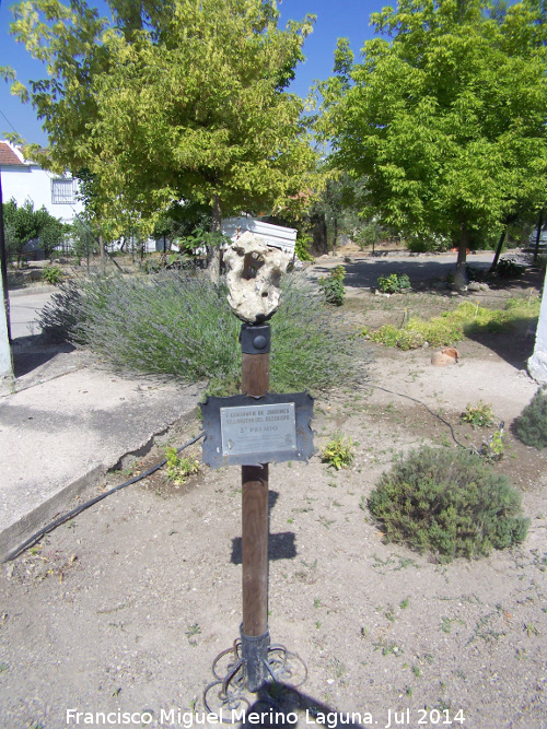 Plaza de Gtar - Plaza de Gtar. Jardines