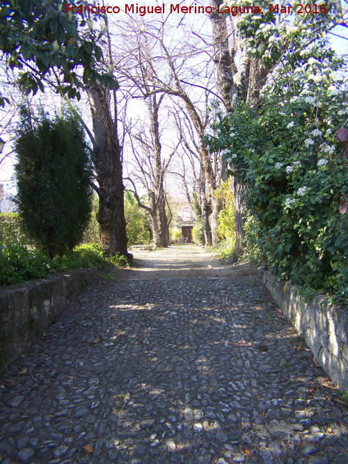 Casera del Jardn del Obispo - Casera del Jardn del Obispo. Camino