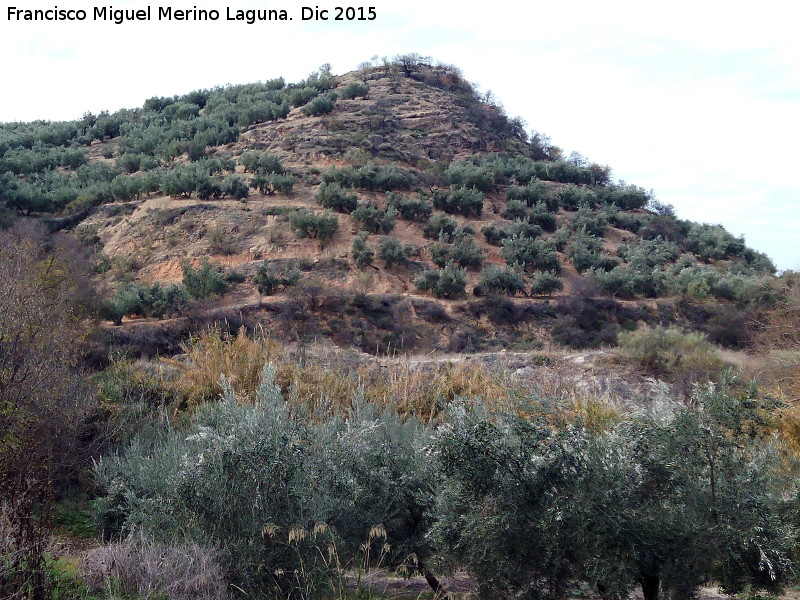 Cerro Alcal - Cerro Alcal. Vertiente Este