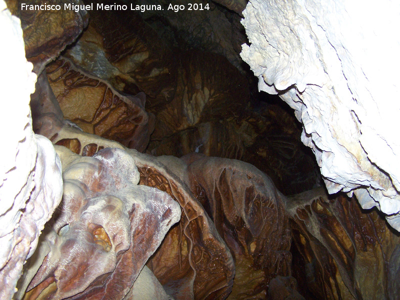 Cueva de la Canalizacin - Cueva de la Canalizacin. 