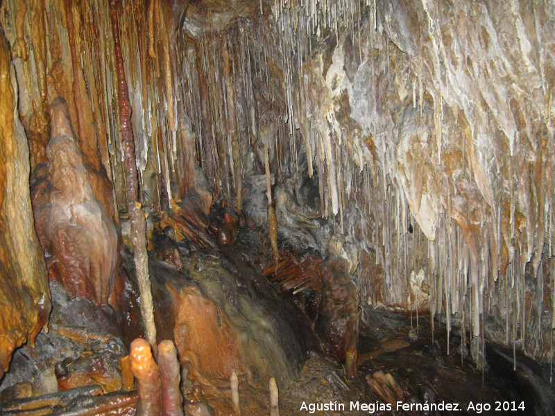 Cueva de la Canalizacin - Cueva de la Canalizacin. 