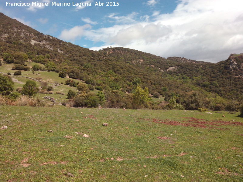 El Moralejo - El Moralejo. 