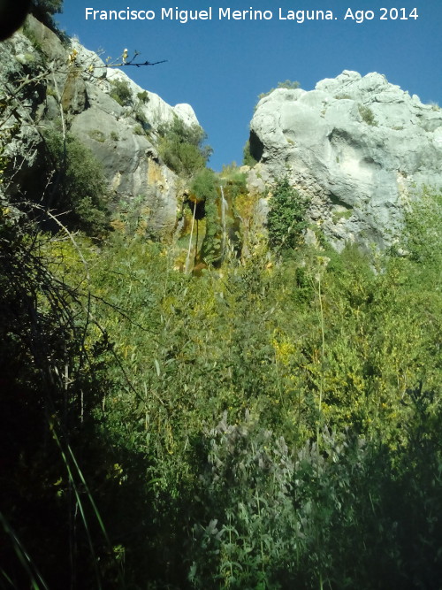 Cascada del Tejo - Cascada del Tejo. 