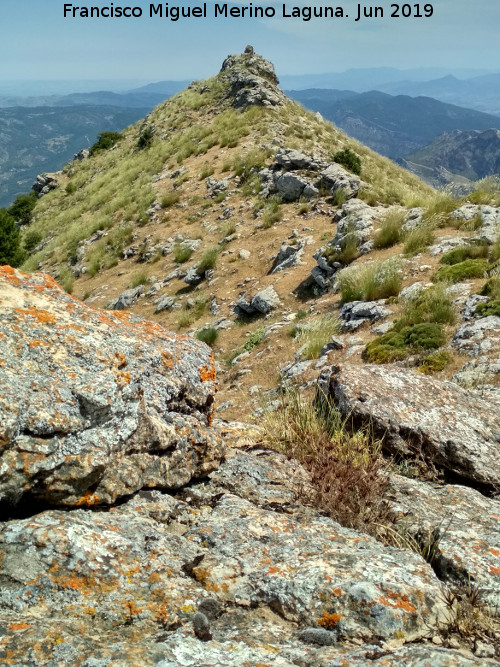 Caballo Torraso - Caballo Torraso. Cumbre