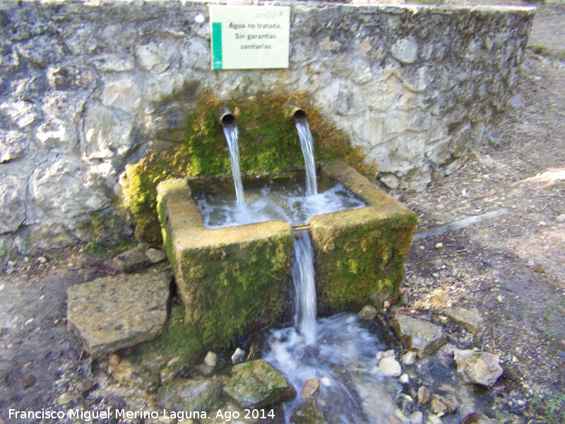 Fuente de la Cueva del Peinero - Fuente de la Cueva del Peinero. 