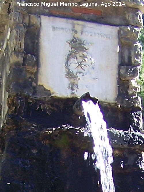 Fuente del Raso de la Honguera - Fuente del Raso de la Honguera. Placa y cao