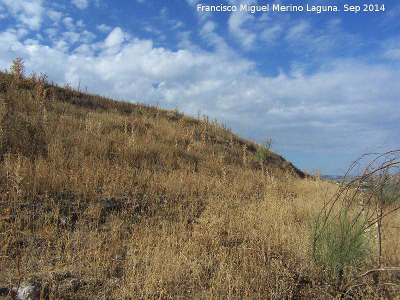 Oppidum Puente Tablas. Muralla - Oppidum Puente Tablas. Muralla. Muralla sin excavar