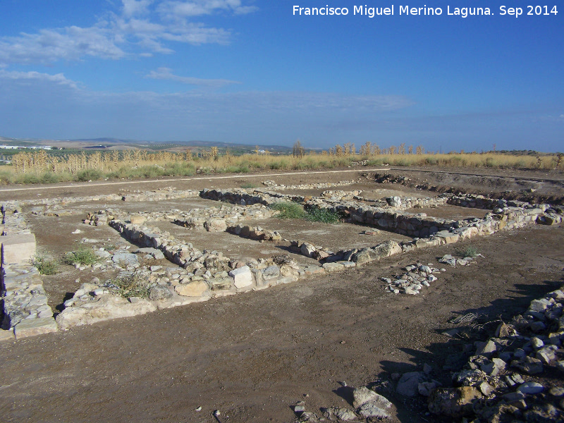 Oppidum Puente Tablas. Viviendas - Oppidum Puente Tablas. Viviendas. 