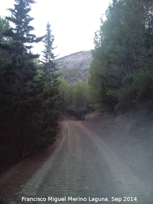 Camino del Portichuelo - Camino del Portichuelo. 