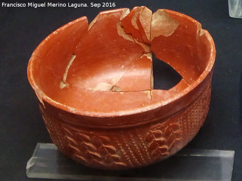 Cstulo - Cstulo. Museo arqueolgico de Linares