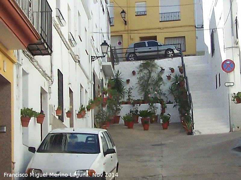 Calle Mara Sandoval - Calle Mara Sandoval. Macetas